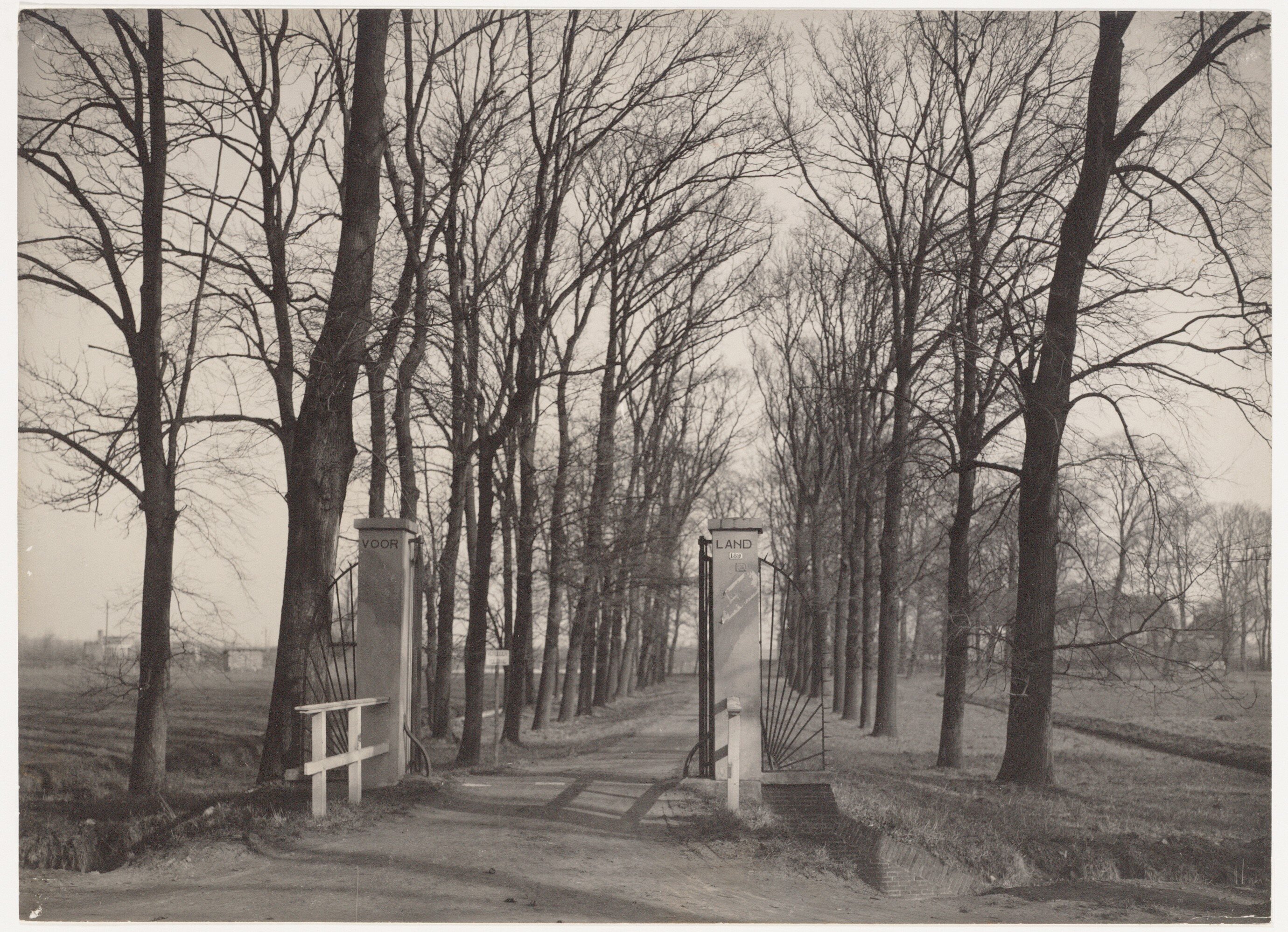 voorland_oprijlaan.jpg